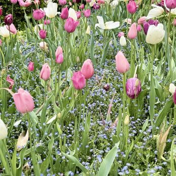 Crystal Hermitage Gardens - Community Gardens Near Me - Nevada City, California