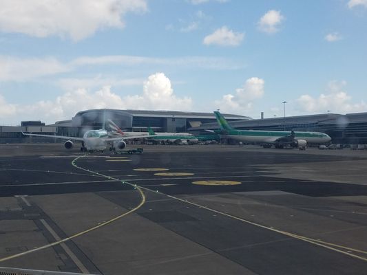 Aer Lingus by null