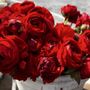Photo of Thursday Marin Civic Center Farmers Market
