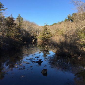 Quogue Wildlife Refuge - Parks Near Me - Quogue, New York Quogue Wildlife Refuge - Parks Near Me - Quogue, New York