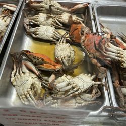 The Seafood Pot - Fresh crabs!