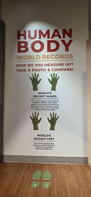 TELUS Spark Science Centre by null