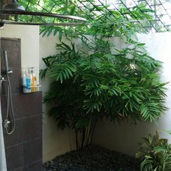 Bali Bali Beach Resort - Water the plants while taking a bath? Good idea!