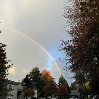 Lakeside Landing Apartments - Apartments Near Me - Tacoma, Washington Lakeside Landing Apartments - Apartments Near Me - Tacoma, Washington