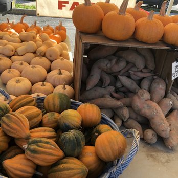 Beacon Farmers Market - Fall vegetables - Farmers Market Near Me - Beacon, New York Beacon Farmers Market - Fall vegetables - Farmers Market Near Me - Beacon, New York