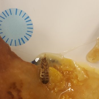 Fiesta Cafe - Cockroach in fried ice cream - Mexican Near Me - Champaign, Illinois