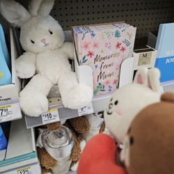 Walgreens - Hai there, cute bunny!
