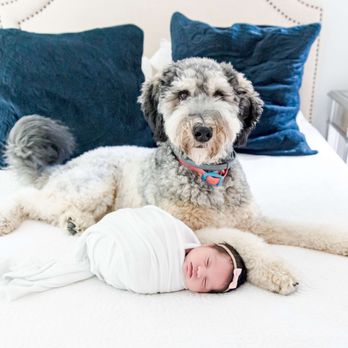 Isabel Sweet Photography - Newborn baby with family pet. - Session Photography Near Me - Boston, Massachusetts Isabel Sweet Photography - Newborn baby with family pet. - Session Photography Near Me - Boston, Massachusetts
