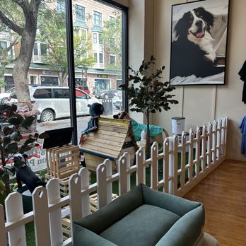 The Hungry Hound - Painting of owner's dog ?  See his pic throughout the store. So adorable - Pet Stores Near Me - Somerville, New Jersey