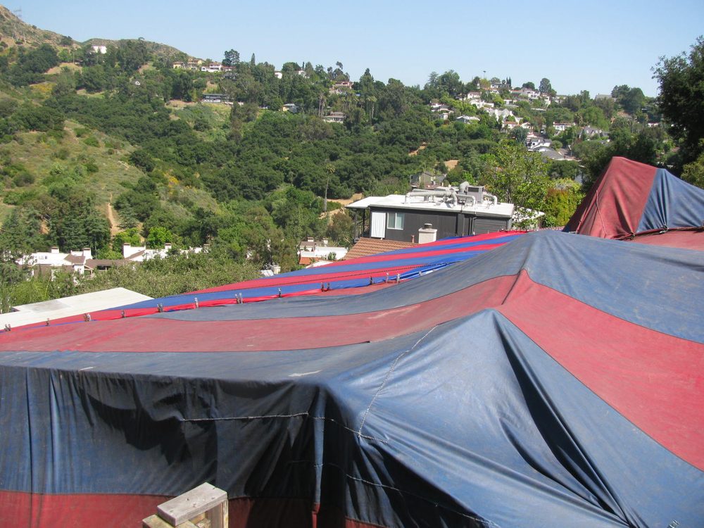 DEWEY PEST & TERMITE CONTROL Updated October 2024 12 Photos & 80