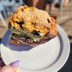 Java - Blueberry muffin