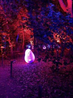 teamLab Botanical Garden Osaka by null