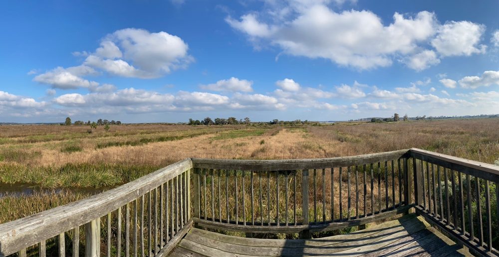 ALTAMAHA WILDLIFE MANAGEMENT AREA 20 Photos Townsend, GA Yelp