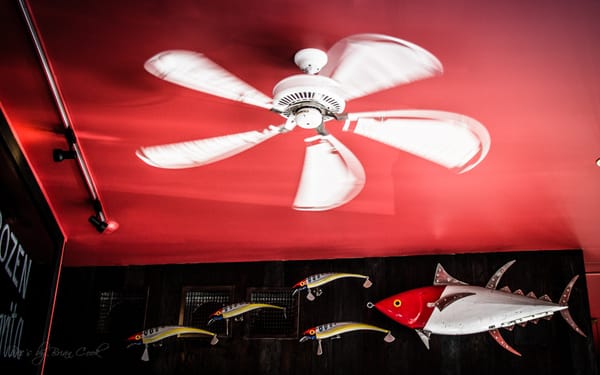 Taco Dive Bar by null