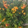 Photo of Sun Ray Park