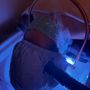 Photo of Halo Head Spa Coppell