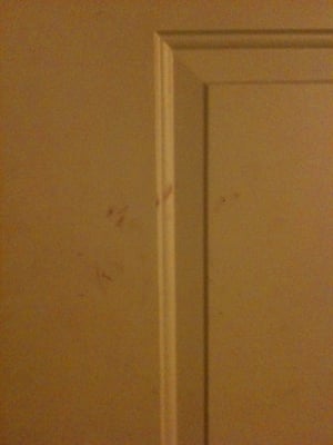 Photo of Economy Inn - Santa Rosa, CA, US. Is that....? Yep. Pretty sure that's blood. On the inside of the door. Due to photo's lo res, you may have to trust me on this.