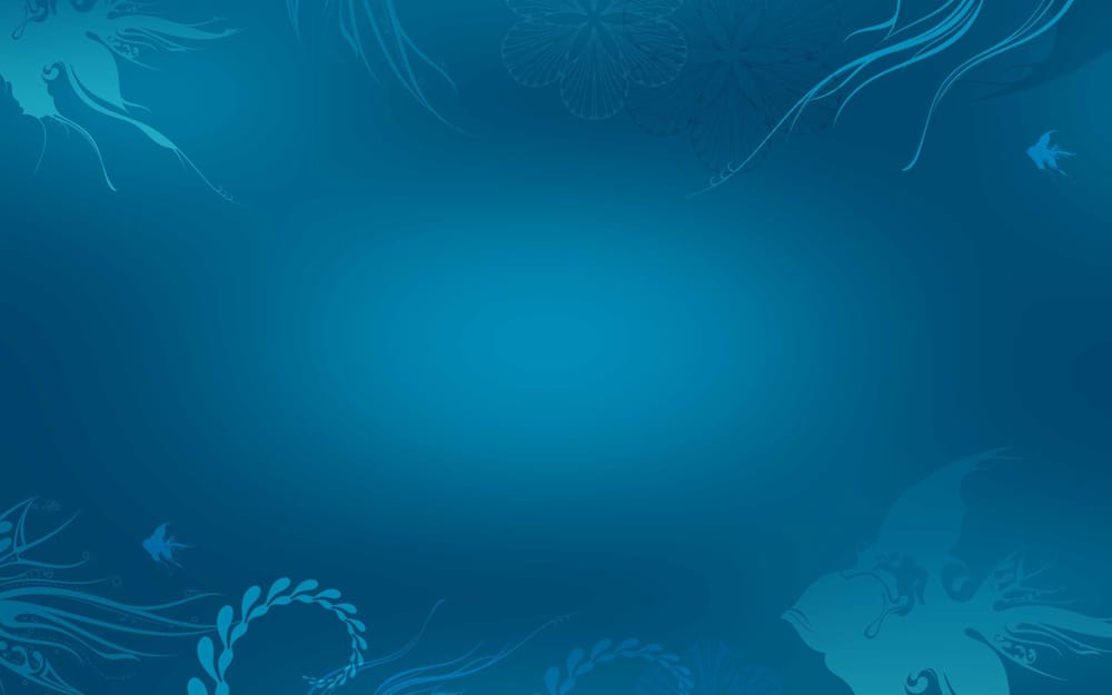 SCOOTER’S Calle Néstor de la Torre, Lozère, Las Palmas de Gran Canaria, Las Palmas, Spain