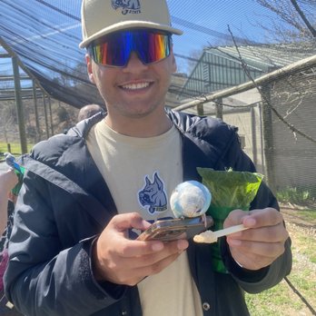 Virginia Safari Park - Feeding the Budgies is so fun - Zoos Near Me - Natural Bridge, Virginia Virginia Safari Park - Feeding the Budgies is so fun - Zoos Near Me - Natural Bridge, Virginia