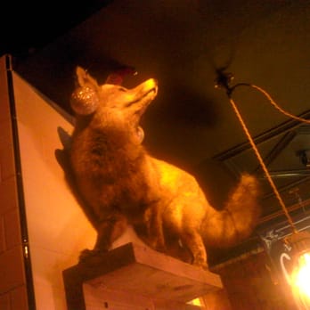 The Tap House - Foxy - Pubs Near Me - Ranelagh, D The Tap House - Foxy - Pubs Near Me - Ranelagh, D