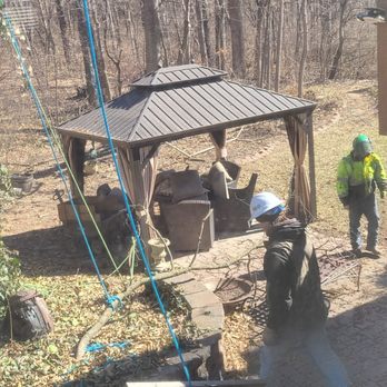 River City Tree Services - Secured branches lowered safely - Tree Services Near Me - Manchester, Missouri River City Tree Services - Secured branches lowered safely - Tree Services Near Me - Manchester, Missouri