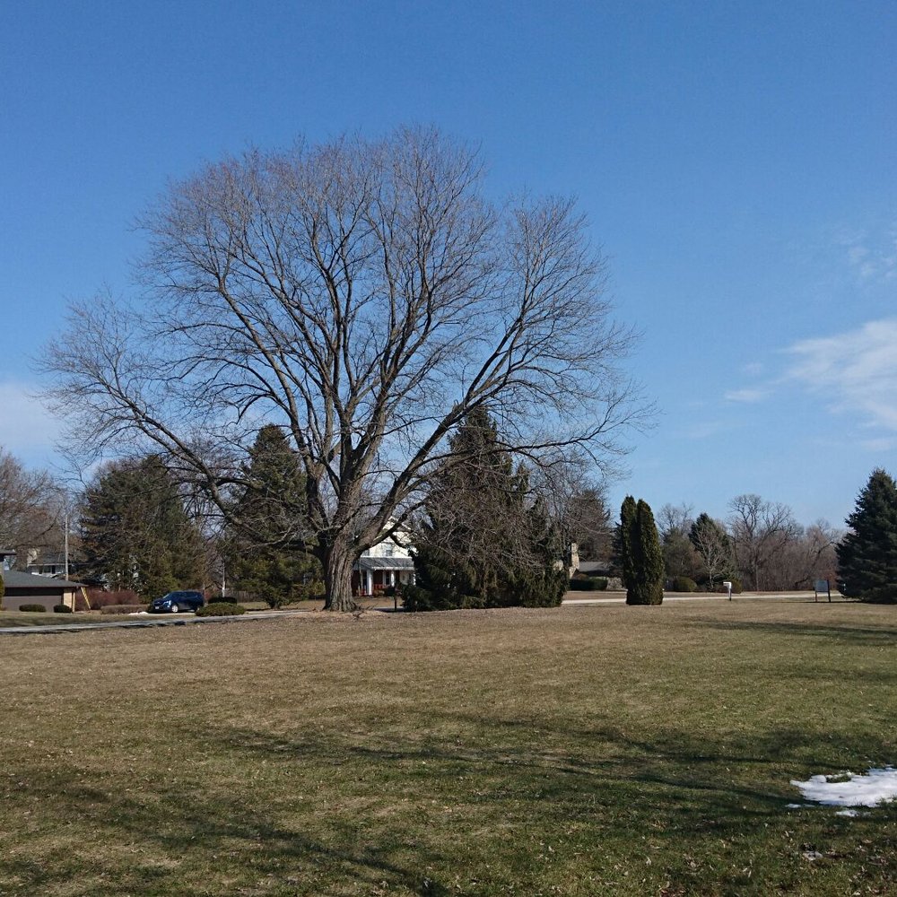RUBY PARK - Looking east from West end of park. - Parks Near Me