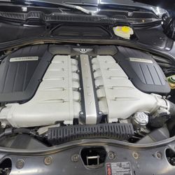 Specialized Preferred Auto