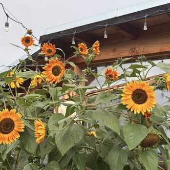 Finnriver Farm & Cidery - Cideries Near Me - Chimacum, Washington Finnriver Farm & Cidery - Cideries Near Me - Chimacum, Washington