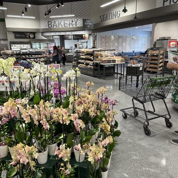 Publix - a grocery store with a variety of flowers - Grocery Near Me - Royal Palm Beach, Florida