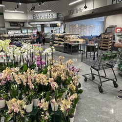 Publix