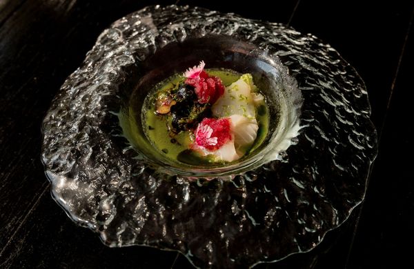 Stubborn Seed - Miami Beach by null