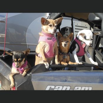 Sylvan Veterinary hospital - Veterinarians Near Me - Modesto, California Sylvan Veterinary hospital - Veterinarians Near Me - Modesto, California