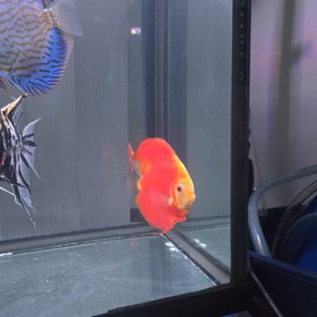 Tokyo Aquarium - Aquarium Services Near Me - Los Angeles, California