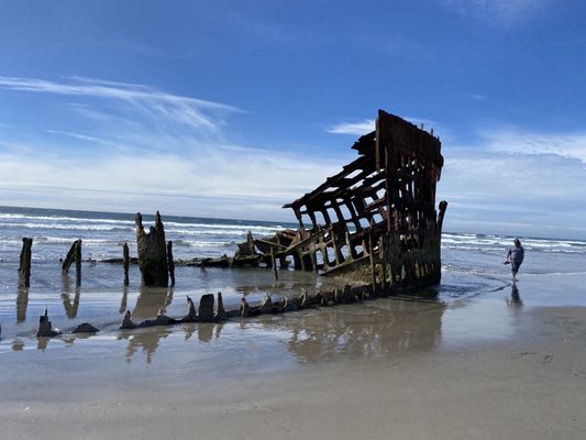 Wreck of the Peter Iredale by null