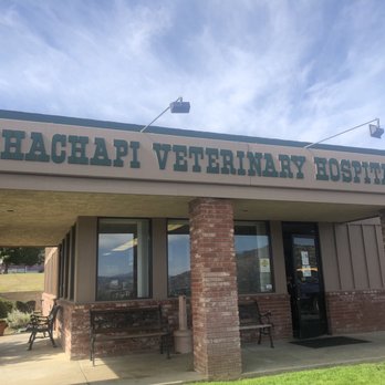 Tehachapi Veterinary Hospital - Veterinarians Near Me - Tehachapi, California