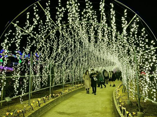 Ashikaga Flower Park by null