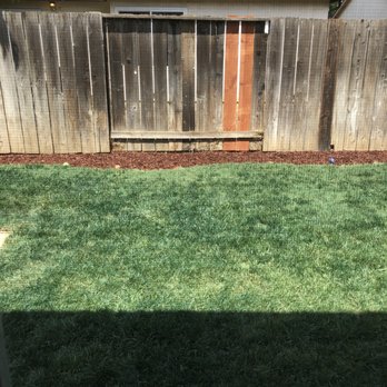 Xtreme Green Grass - AFTER - Gutter Services Near Me Xtreme Green Grass - AFTER - Gutter Services Near Me