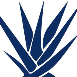 Blue Agave Market - Logo