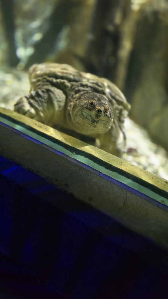 Aquarium du Québec