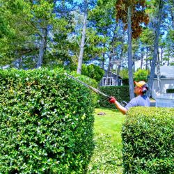 Beach Time Landscaping