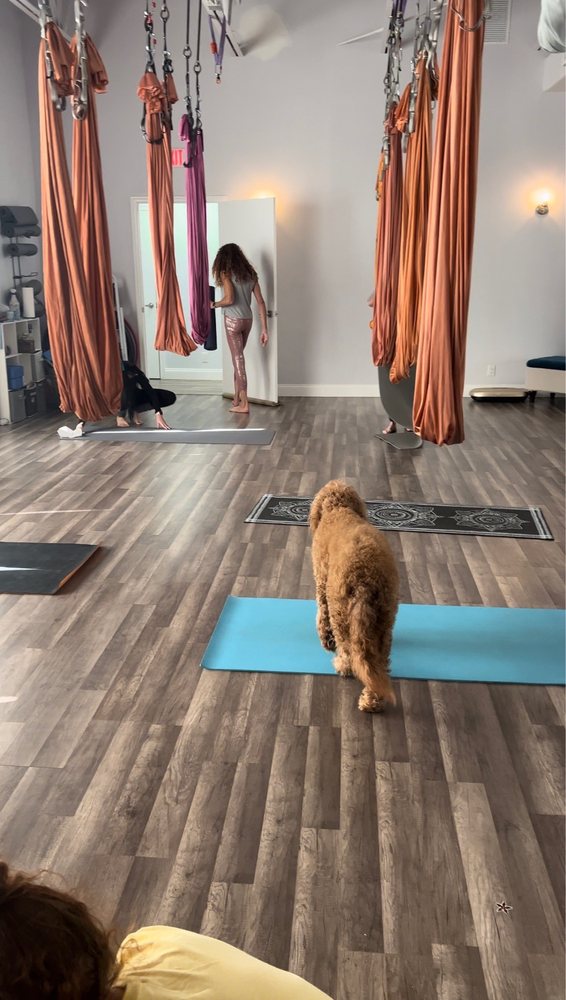 Blissful Energy Image