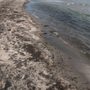 Photo of Marielyst - Bøtø Strand
