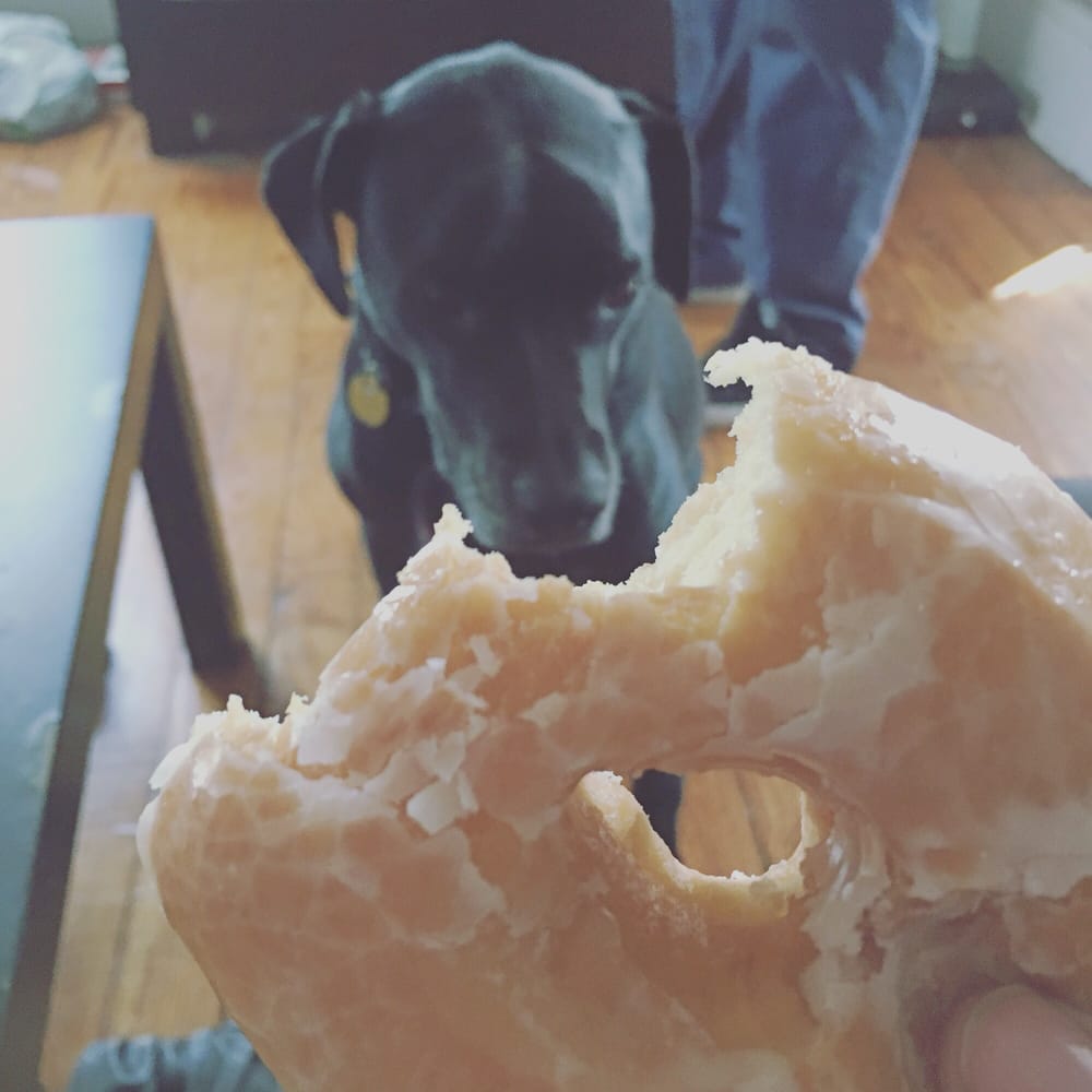 MA’S DONUT SHOP CLOSED Updated July 2024 11 Photos & 31 Reviews