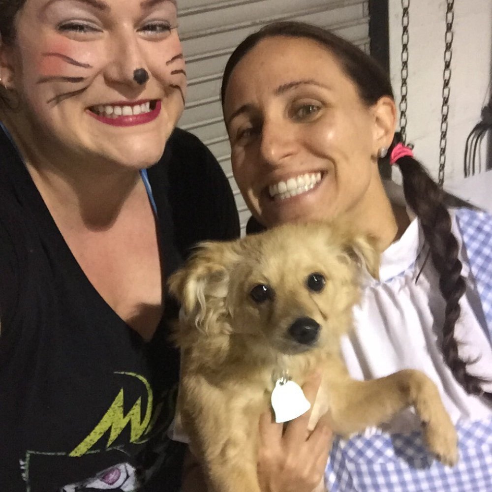 Nova Strength & Conditioning - Dorothy, Toto and a slightly punk Minnie Mouse for HalloWOD - Gyms Near Me - Springfield, Virginia Nova Strength & Conditioning - Dorothy, Toto and a slightly punk Minnie Mouse for HalloWOD - Gyms Near Me - Springfield, Virginia