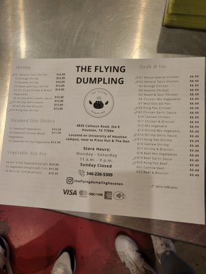 The Flying Dumpling by null