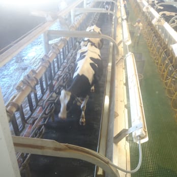 Shamrock Farm Tour - Tours Near Me - Stanfield, Arizona