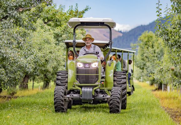 The Fruit Company - Factory Experience by null