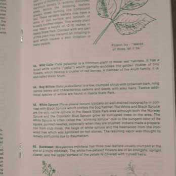 Itasca State Park-Park Headquarters - Inside of Dr Roberts Nature Trail book. - Parks Near Me - Park Rapids, Minnesota