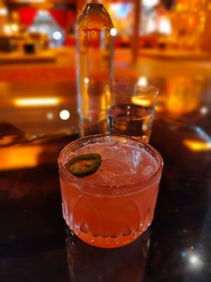 Aviator Nation Dreamland by null