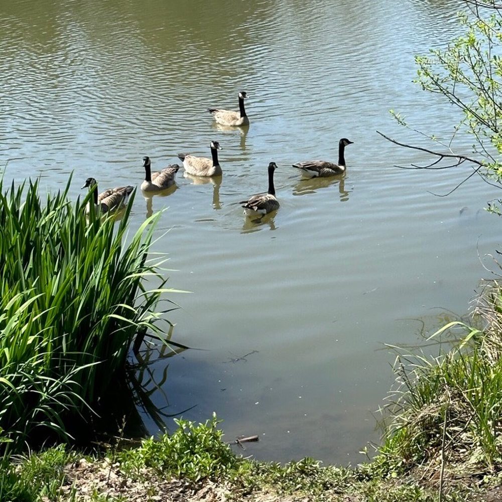 Wildlife can be spotted throughout. Wildlife can be spotted throughout.